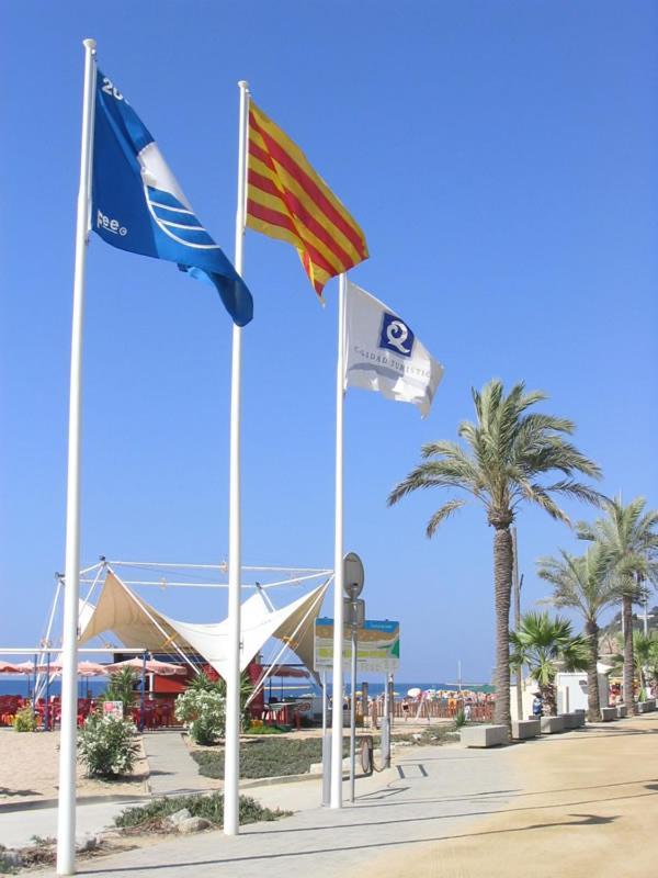 Encantador Estudio Apartment Calella Exterior foto