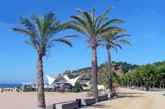 Encantador Estudio Apartment Calella Exterior foto
